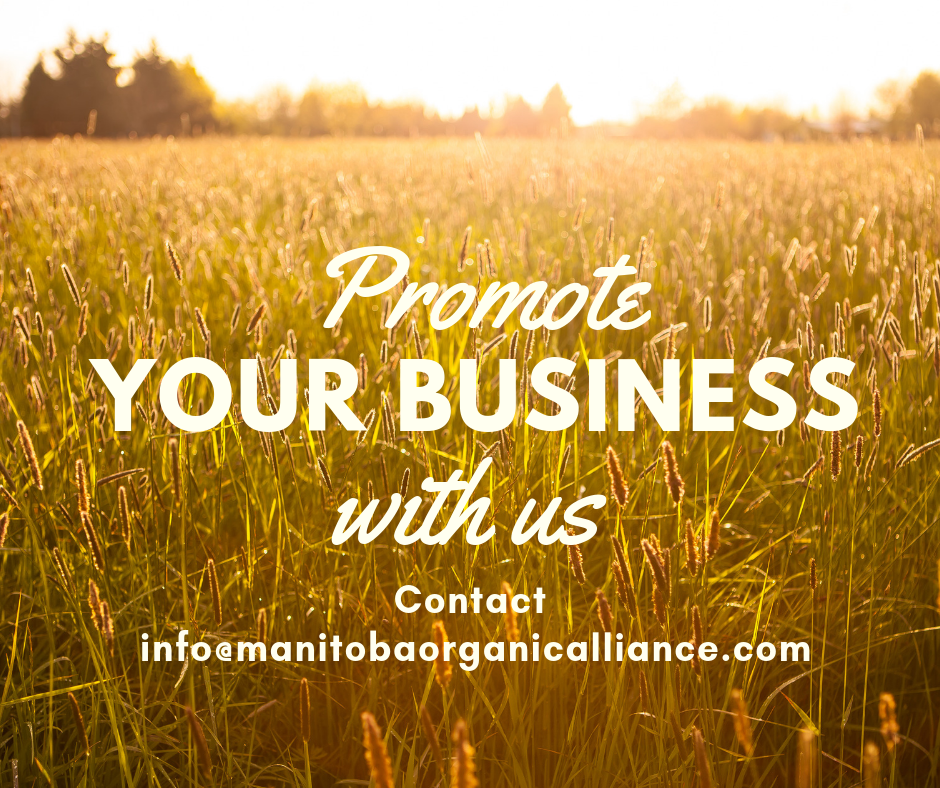 Promote Your Business with Us